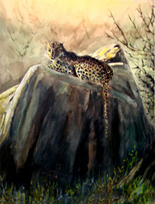 Leopard by Hassan Jaffer